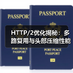 HTTP/2优化揭秘：多路复用与头部压缩性能提升技巧(图2)