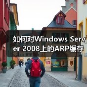 如何对Windows Server 2008上的ARP缓存进行管理的步骤(图2) 如何对Windows Server 2008上的ARP缓存进行管理的步骤(图2)