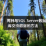 两种与SQL Server数据库交换数据的方法(图4)