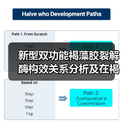 新型双功能褐藻胶裂解酶构效关系分析及在褐藻寡糖制备中的应用(图4) 新型双功能褐藻胶裂解酶构效关系分析及在褐藻寡糖制备中的应用(图4)