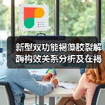 新型双功能褐藻胶裂解酶构效关系分析及在褐藻寡糖制备中的应用(图1) 新型双功能褐藻胶裂解酶构效关系分析及在褐藻寡糖制备中的应用(图1)