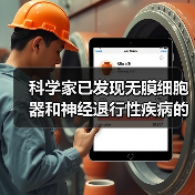 科学家已发现无膜细胞器和神经退行性疾病的相关性——探秘无膜细胞器(上)(图1) 科学家已发现无膜细胞器和神经退行性疾病的相关性——探秘无膜细胞器(上)(图1)