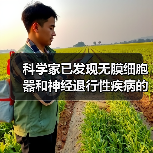 科学家已发现无膜细胞器和神经退行性疾病的相关性——探秘无膜细胞器(上)(图2) 科学家已发现无膜细胞器和神经退行性疾病的相关性——探秘无膜细胞器(上)(图2)