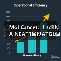 Mol Cancer：LncRNA NEAT1通过ATGL调控异常脂肪分解并促进肝癌增殖(图4)