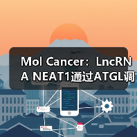 Mol Cancer：LncRNA NEAT1通过ATGL调控异常脂肪分解并促进肝癌增殖(图3)