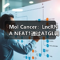 Mol Cancer：LncRNA NEAT1通过ATGL调控异常脂肪分解并促进肝癌增殖(图2)