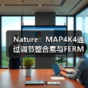 Nature:MAP4K4通过调节整合素与FERM的结合,控制内皮细胞运动能力(图4) Nature:MAP4K4通过调节整合素与FERM的结合,控制内皮细胞运动能力(图4)