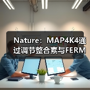 Nature:MAP4K4通过调节整合素与FERM的结合,控制内皮细胞运动能力(图3) Nature:MAP4K4通过调节整合素与FERM的结合,控制内皮细胞运动能力(图3)