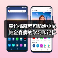 夹竹桃麻素可防治小鼠帕金森病的学习和记忆障碍(图4) 夹竹桃麻素可防治小鼠帕金森病的学习和记忆障碍(图4)