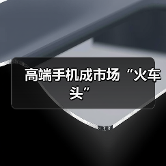 高端手机成市场“火车头”(图4) 高端手机成市场“火车头”(图4)