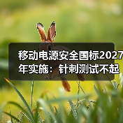 移动电源安全国标2027年实施:针刺测试不起火不爆炸,充电宝进入“零容忍”时代(图3) 移动电源安全国标2027年实施:针刺测试不起火不爆炸,充电宝进入“零容忍”时代(图3)