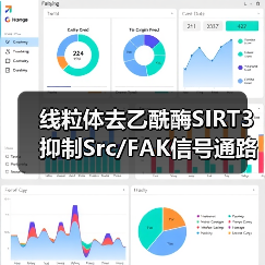 线粒体去乙酰酶SIRT3抑制Src/FAK信号通路、阻碍癌症细胞迁移(图4)