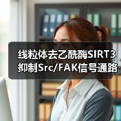 线粒体去乙酰酶SIRT3抑制Src/FAK信号通路、阻碍癌症细胞迁移(图1)