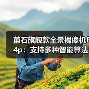 萤石旗舰款全景摄像机E4p:支持多种智能算法,智能升级语音功能(图2) 萤石旗舰款全景摄像机E4p:支持多种智能算法,智能升级语音功能(图2)
