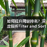 如何提升网站排名?深度解析Filter and Sort SEO 筛选排序SEO策略的实战技巧(图4) 如何提升网站排名?深度解析Filter and Sort SEO 筛选排序SEO策略的实战技巧(图4)