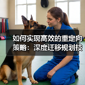 如何实现高效的重定向策略：深度迁移规划技巧揭秘(图3)