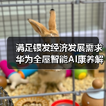 满足银发经济发展需求 华为全屋智能AI康养解决方案发布(图4) 满足银发经济发展需求 华为全屋智能AI康养解决方案发布(图4)