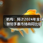 机构：预计2024年全球智能手表市场将同比增长5%(图4)