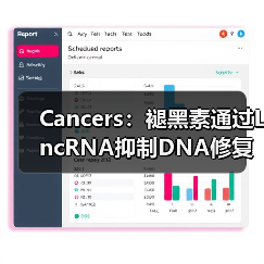 Cancers：褪黑素通过LncRNA抑制DNA修复、增强肝癌化疗敏感性(图2)