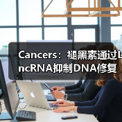 Cancers：褪黑素通过LncRNA抑制DNA修复、增强肝癌化疗敏感性(图3)