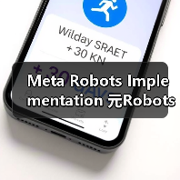 Meta Robots Implementation 元Robots实施页面级控制:零基础入门到高级实战指南(图2) Meta Robots Implementation 元Robots实施页面级控制:零基础入门到高级实战指南(图2)