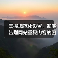掌握规范化设置,彻底告别网站重复内容的困扰(图4) 掌握规范化设置,彻底告别网站重复内容的困扰(图4)