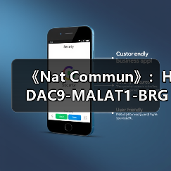 《Nat Commun》：HDAC9-MALAT1-BRG1复合物介导胸主动脉瘤平滑肌功能障碍(图1)