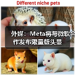 外媒：Meta将与微软合作发布限量版头显(图1)
