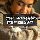 外媒：Meta将与微软合作发布限量版头显(图4)
