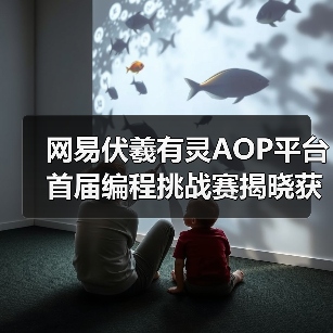 网易伏羲有灵AOP平台首届编程挑战赛揭晓获奖名单(图3)