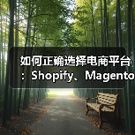 如何正确选择电商平台:Shopify、Magento 还是 WooCommerce?(图2) 如何正确选择电商平台:Shopify、Magento 还是 WooCommerce?(图2)