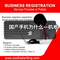 国产手机为什么一机难求(图1)