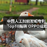 中国人工智能发明专利Top10揭晓 OPPO成唯一入选以手机为核心业务企业(图3)