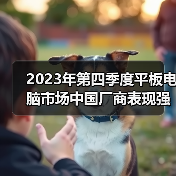 2023年第四季度平板电脑市场中国厂商表现强劲 分析师：AI等将利好行业发展(图3)