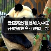 云捷亮数首批加入中国开放智算产业联盟,加速AI及大模型应用落地(图3) 云捷亮数首批加入中国开放智算产业联盟,加速AI及大模型应用落地(图3)