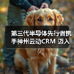 第三代半导体先行者携手神州云动CRM 迈入数字化产业之旅(图3) 第三代半导体先行者携手神州云动CRM 迈入数字化产业之旅(图3)