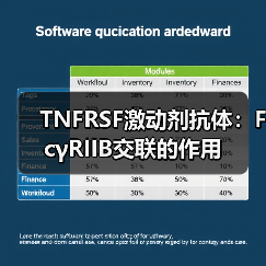 TNFRSF激动剂抗体:FcγRIIB交联的作用(图2) TNFRSF激动剂抗体:FcγRIIB交联的作用(图2)