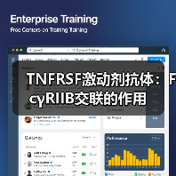 TNFRSF激动剂抗体:FcγRIIB交联的作用(图1) TNFRSF激动剂抗体:FcγRIIB交联的作用(图1)