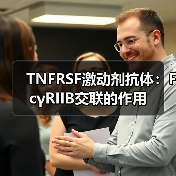TNFRSF激动剂抗体:FcγRIIB交联的作用(图4) TNFRSF激动剂抗体:FcγRIIB交联的作用(图4)
