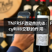 TNFRSF激动剂抗体:FcγRIIB交联的作用(图3) TNFRSF激动剂抗体:FcγRIIB交联的作用(图3)