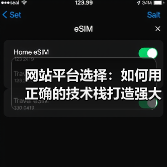 网站平台选择：如何用正确的技术栈打造强大的线上基石(图2)