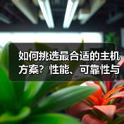 如何挑选最合适的主机方案?性能、可靠性与支持都不能忽视(图2) 如何挑选最合适的主机方案?性能、可靠性与支持都不能忽视(图2)