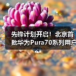 先锋计划开启！北京首批华为Pura70系列用户已经拿到真机(图3)