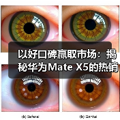 以好口碑赢取市场：揭秘华为Mate X5的热销背后(图4)