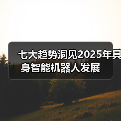 七大趋势洞见2025年具身智能机器人发展(图2) 七大趋势洞见2025年具身智能机器人发展(图2)