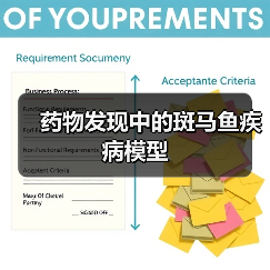 药物发现中的斑马鱼疾病模型(图1)