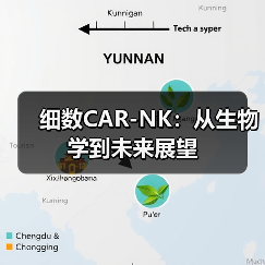 细数CAR-NK：从生物学到未来展望(图2)