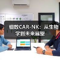 细数CAR-NK：从生物学到未来展望(图1)
