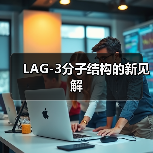 LAG-3分子结构的新见解(图4)