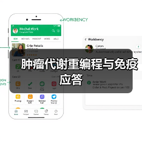 肿瘤代谢重编程与免疫应答(图4)